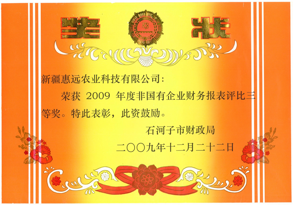 2009年度企业财务月报表三等奖