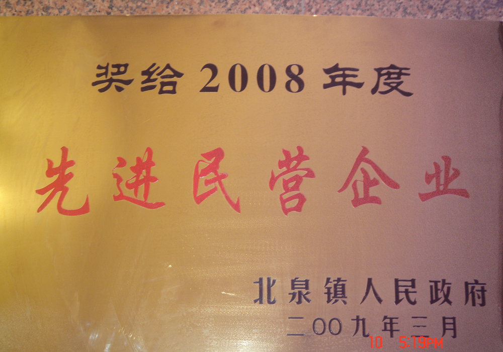 2008年度先进民营企业