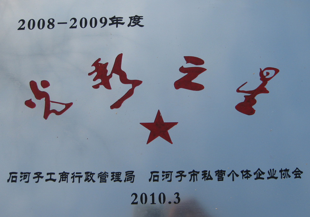 2008-2009年度光彩之星